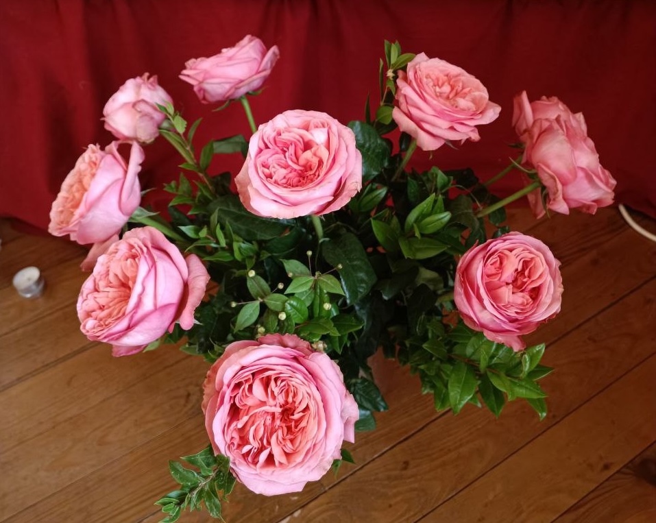 La rose, miroir du cœur féminin